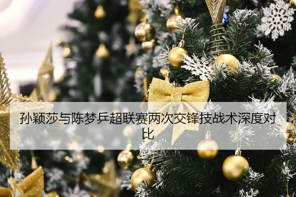 孙颖莎与陈梦乒超联赛两次交锋技战术深度对比（haixing）